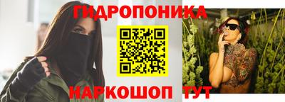молекула духа Тверь