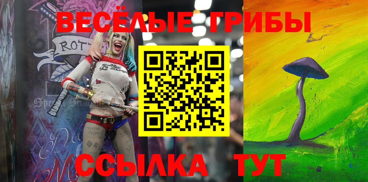 Псилоцибиновые грибы Cubensis Нижний Новгород