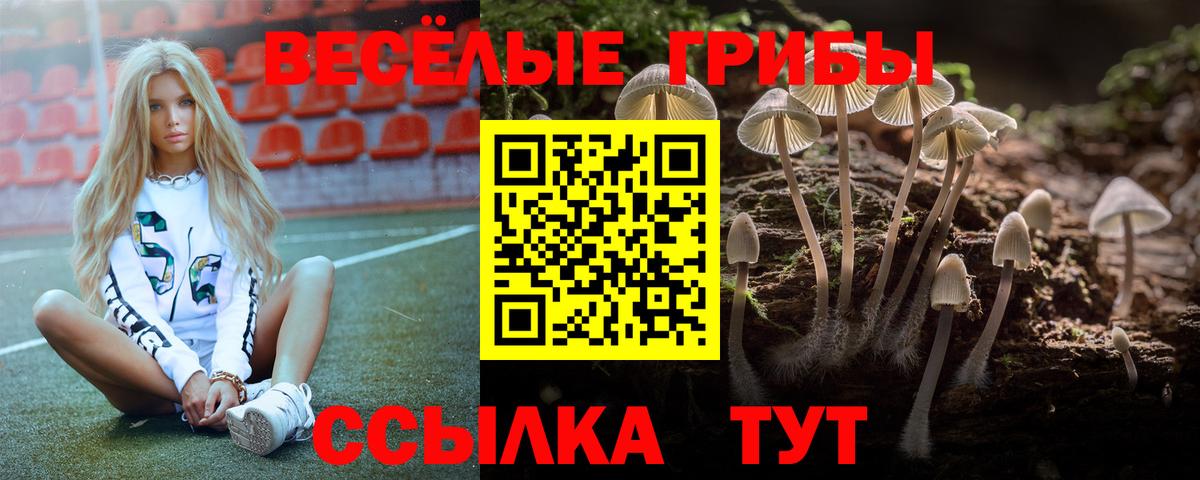Галлюциногенные грибы GOLDEN TEACHER  Вход с VPN  Нижний Новгород  Псилоцибиновые грибы Psilocybine cubensis 